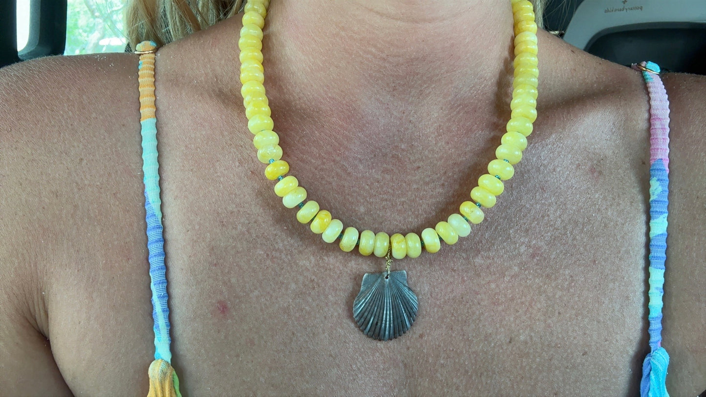 Sunshine Scallop