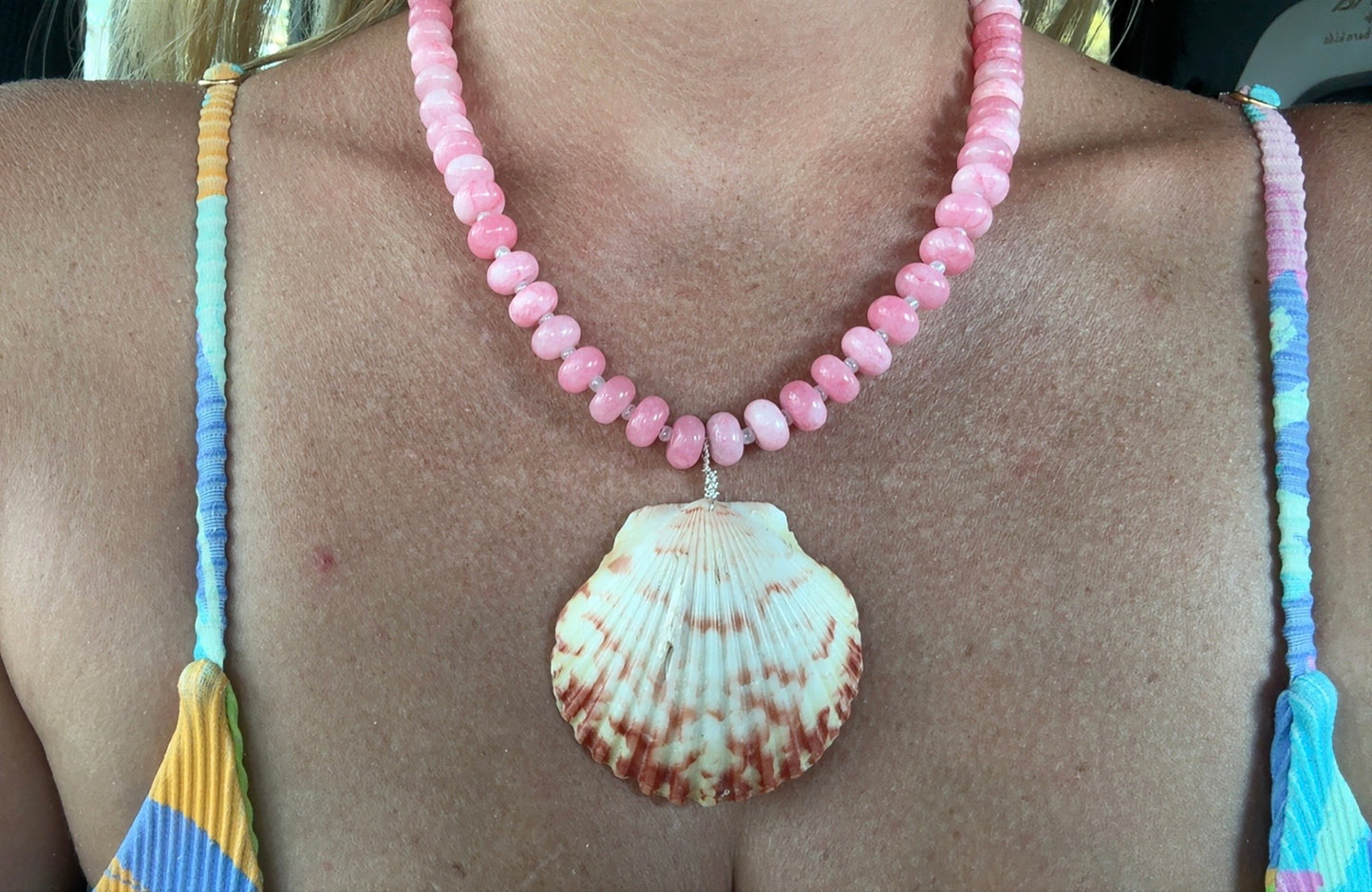 Rosy Reef Scallop