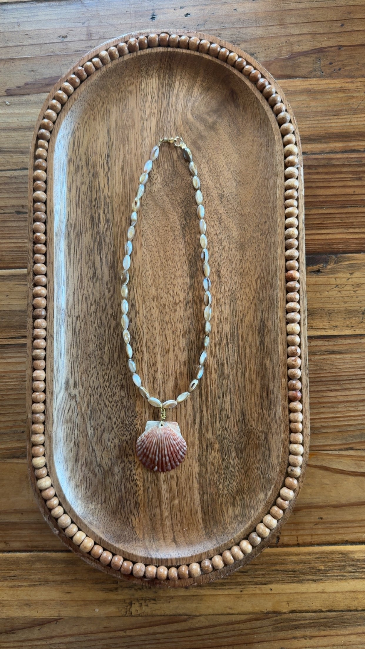 Sandbar Scallop