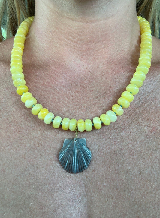 Sunshine Scallop
