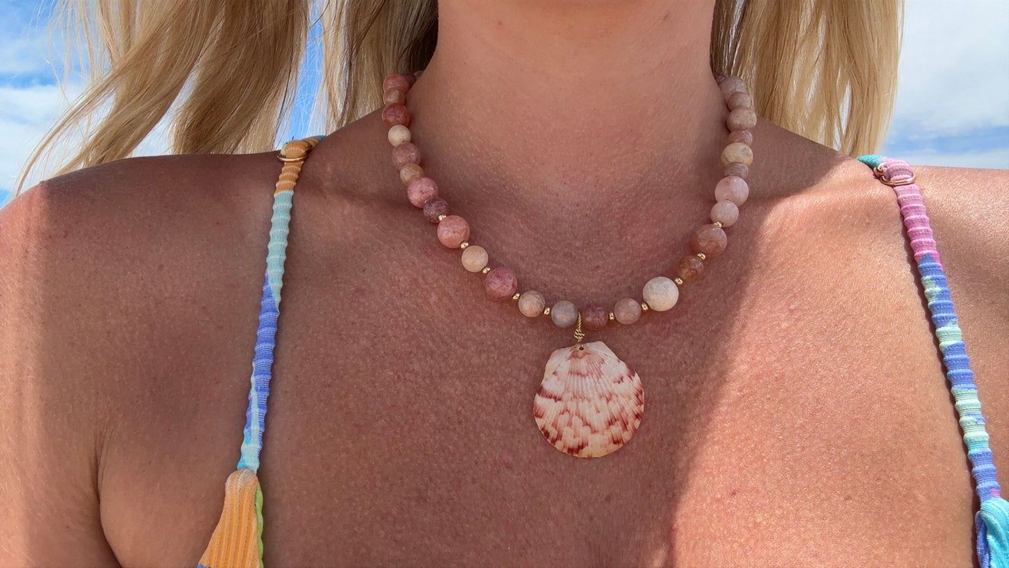 Pink Scallop