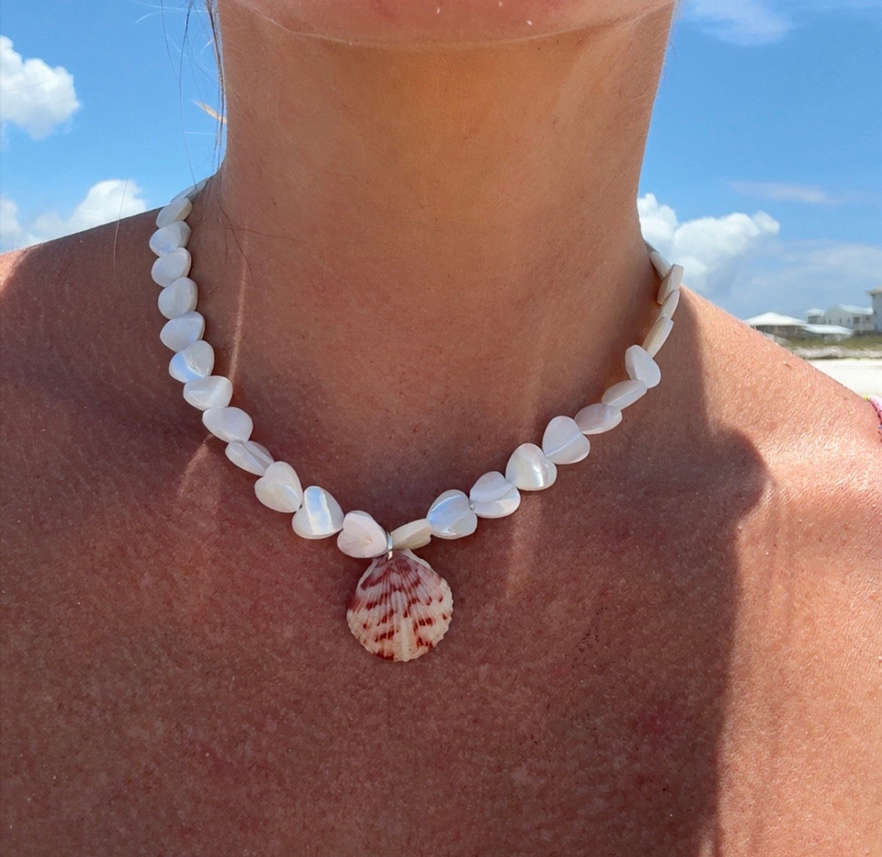 White Sands Scallop
