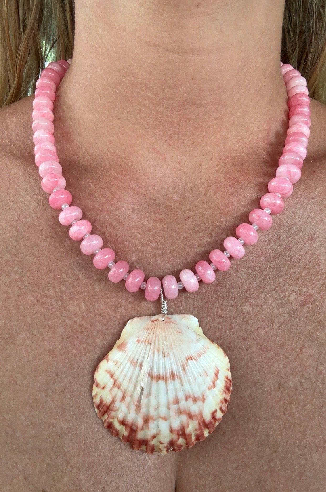 Rosy Reef Scallop