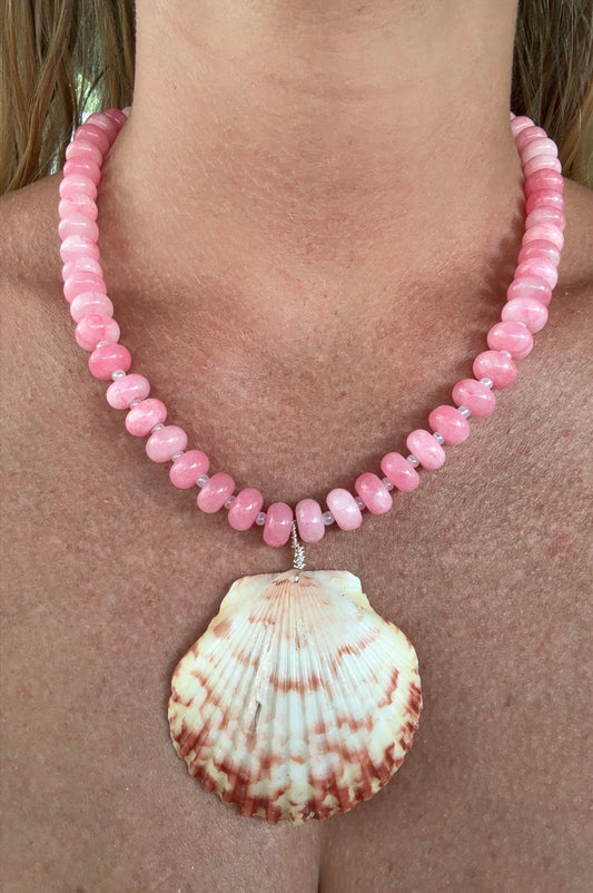 Rosy Reef Scallop