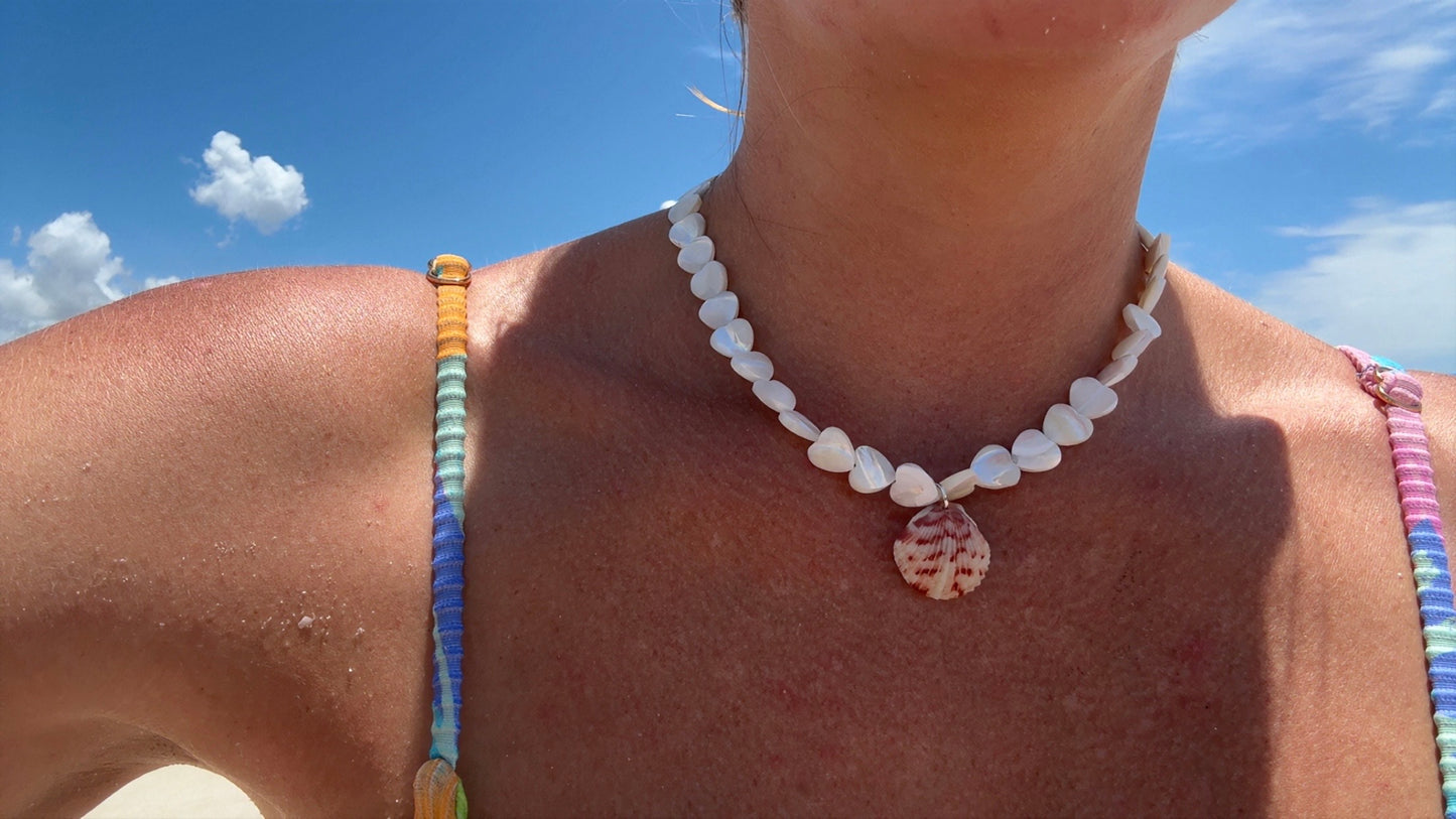 White Sands Scallop