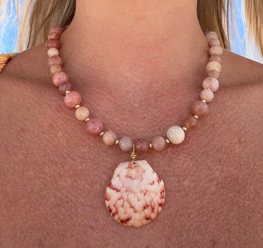 Pink Scallop