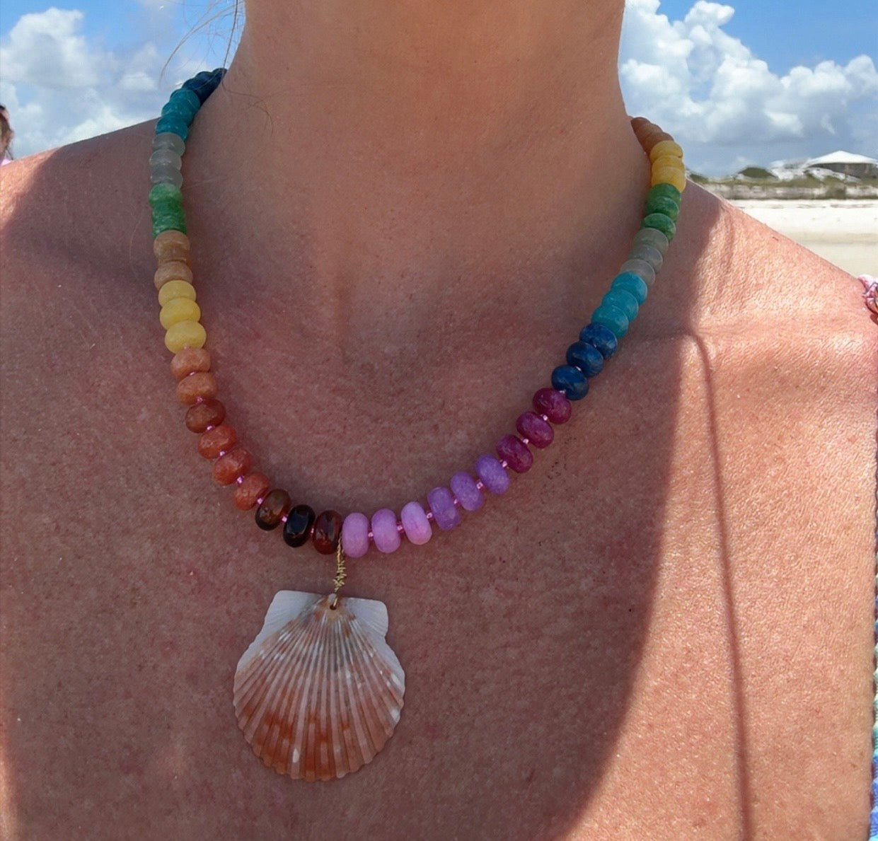 Rainbow Reef Scallop