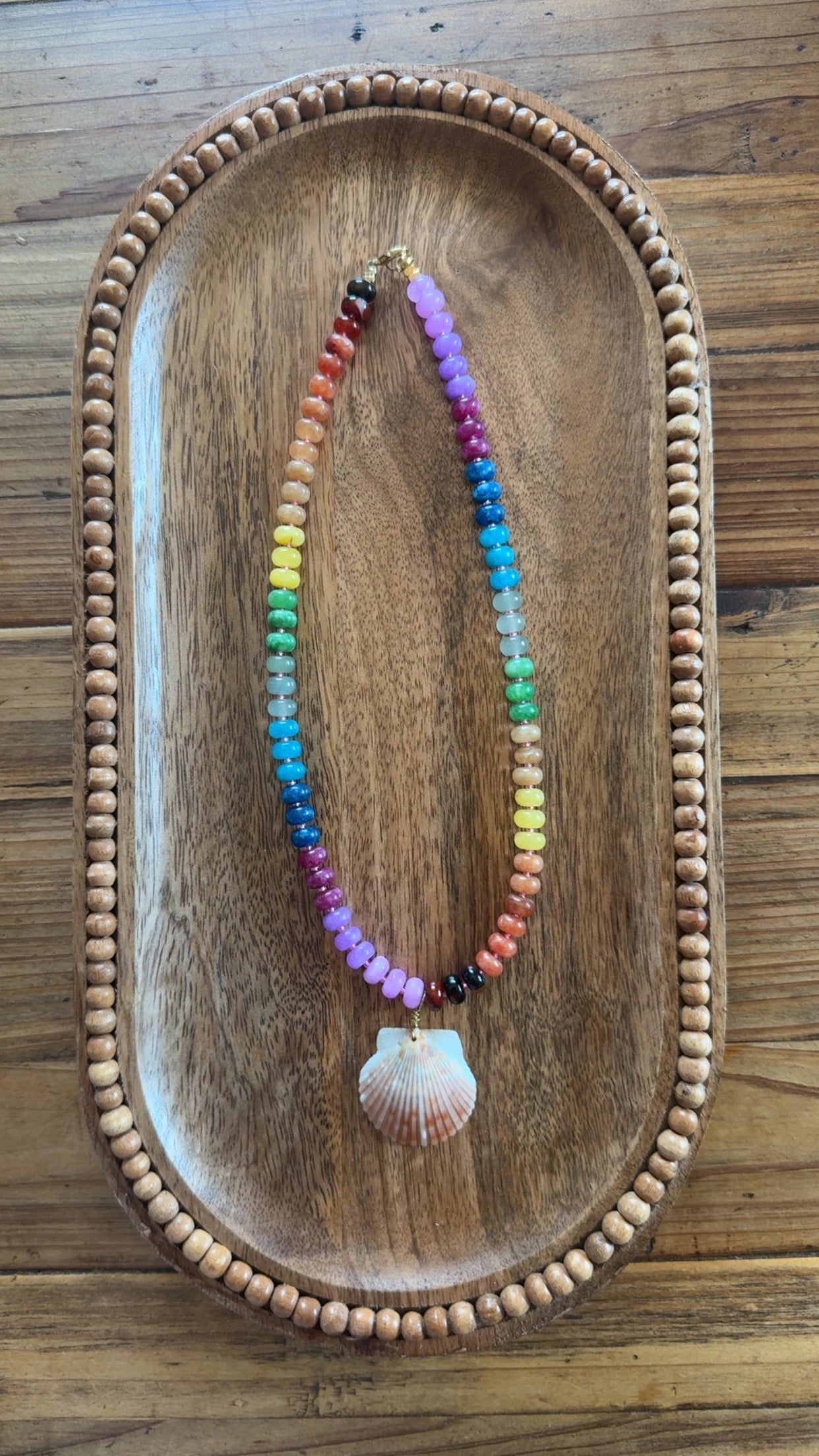 Rainbow Reef Scallop